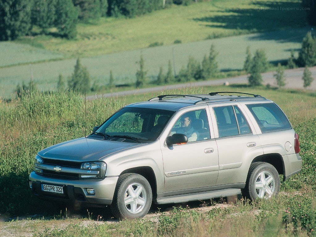 Silver SUV on a grassy hill