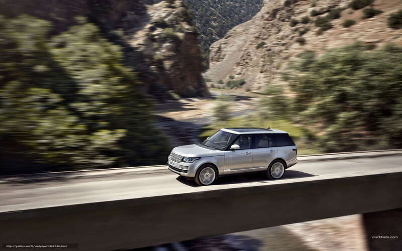 Silver SUV on Bridge — Dynamic