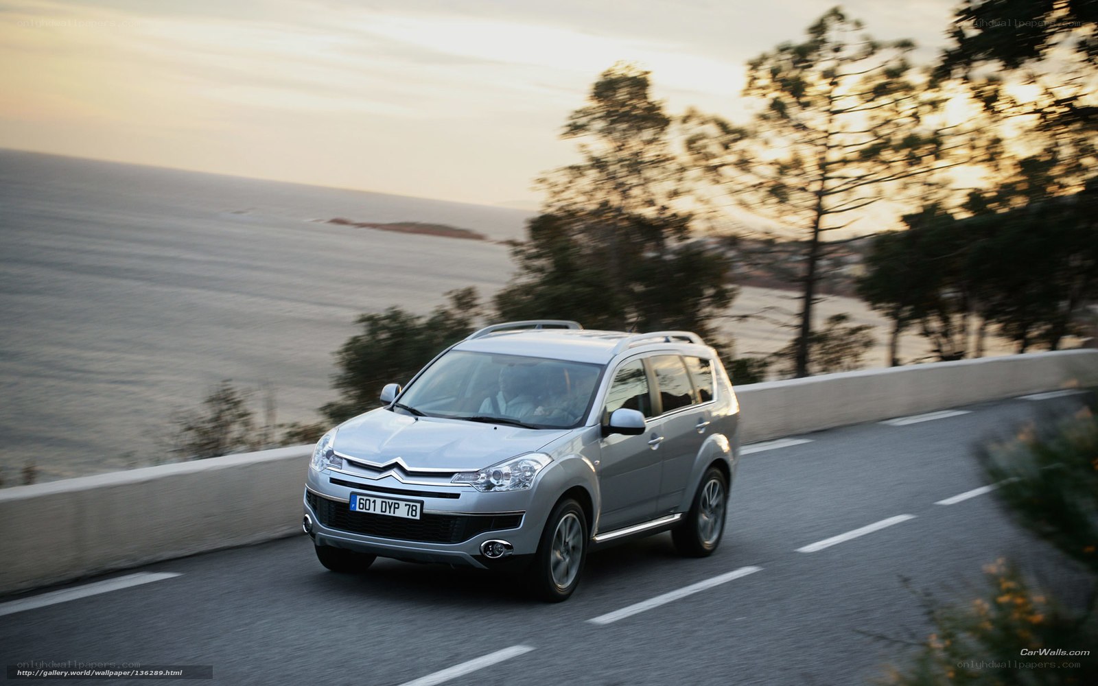Silver SUV on coastal road