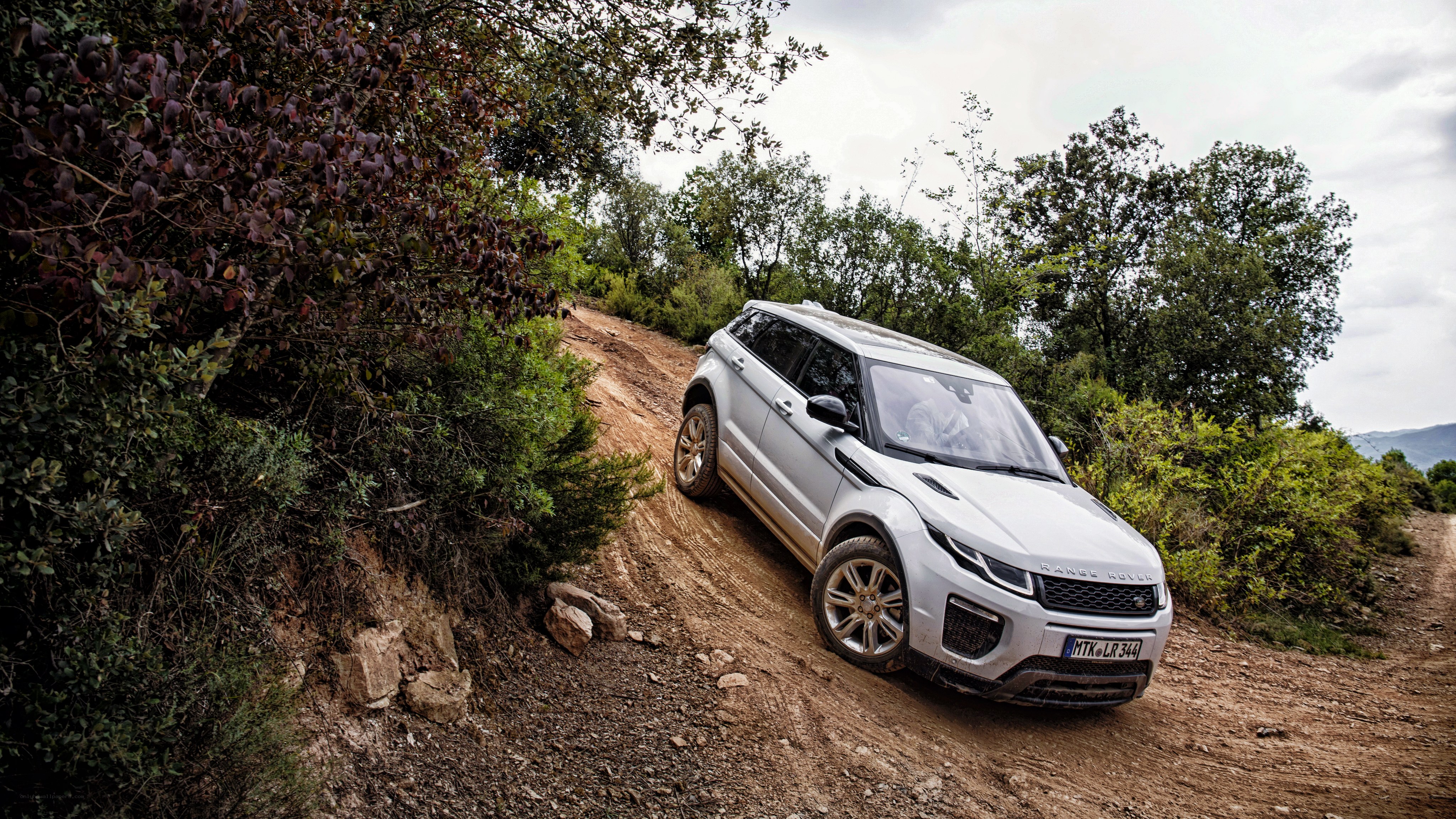 Silver SUV on dirt road