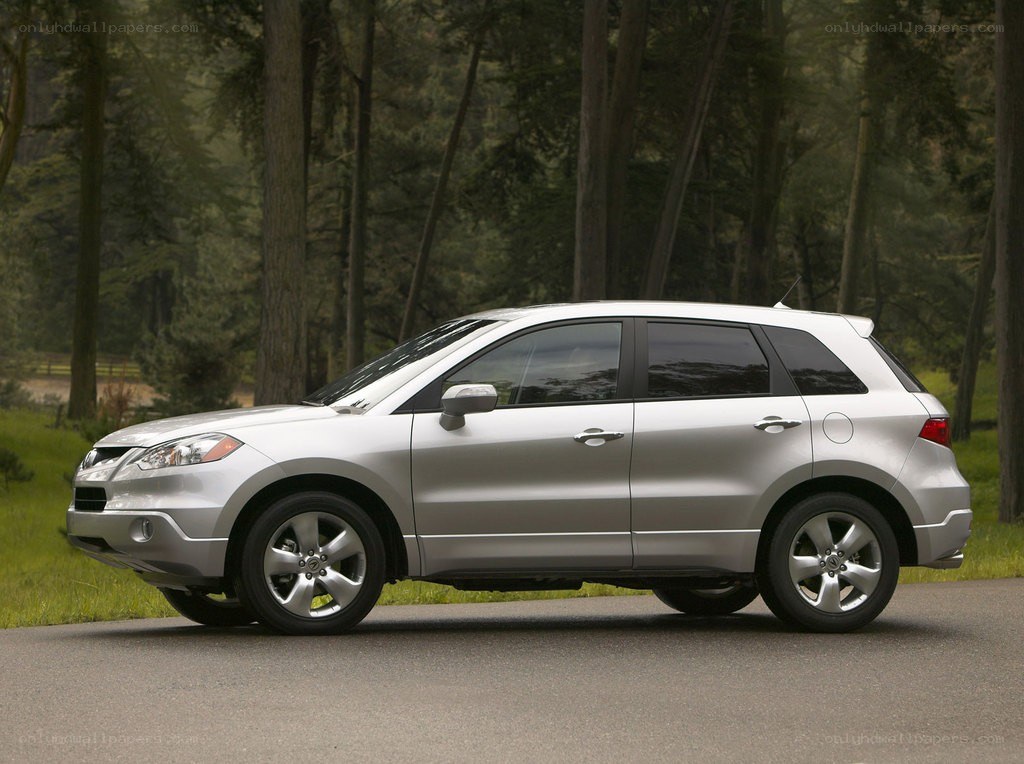 silver suv on forest road