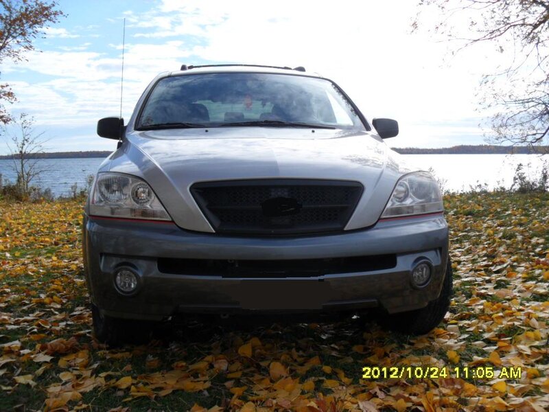 Silver SUV on Grass — Gray, Serene