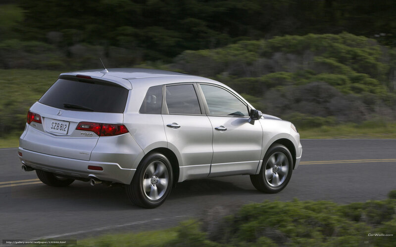 Silver SUV on Road — Dynamic, Afternoon, Photograph, Car, Trees