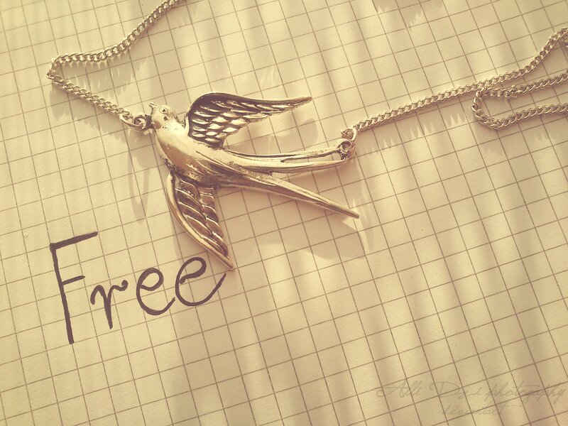 Silver Swallow Pendant