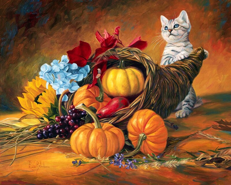 Silver Tabby Kitten — Orange
