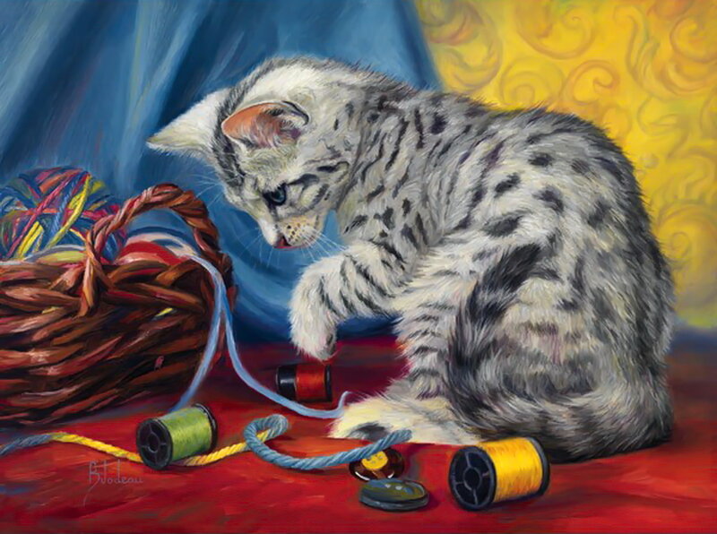 Silver Tabby Kitten — Red, Calm