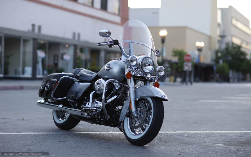 Silver Touring Motorcycle — Gray, Calm, Morning