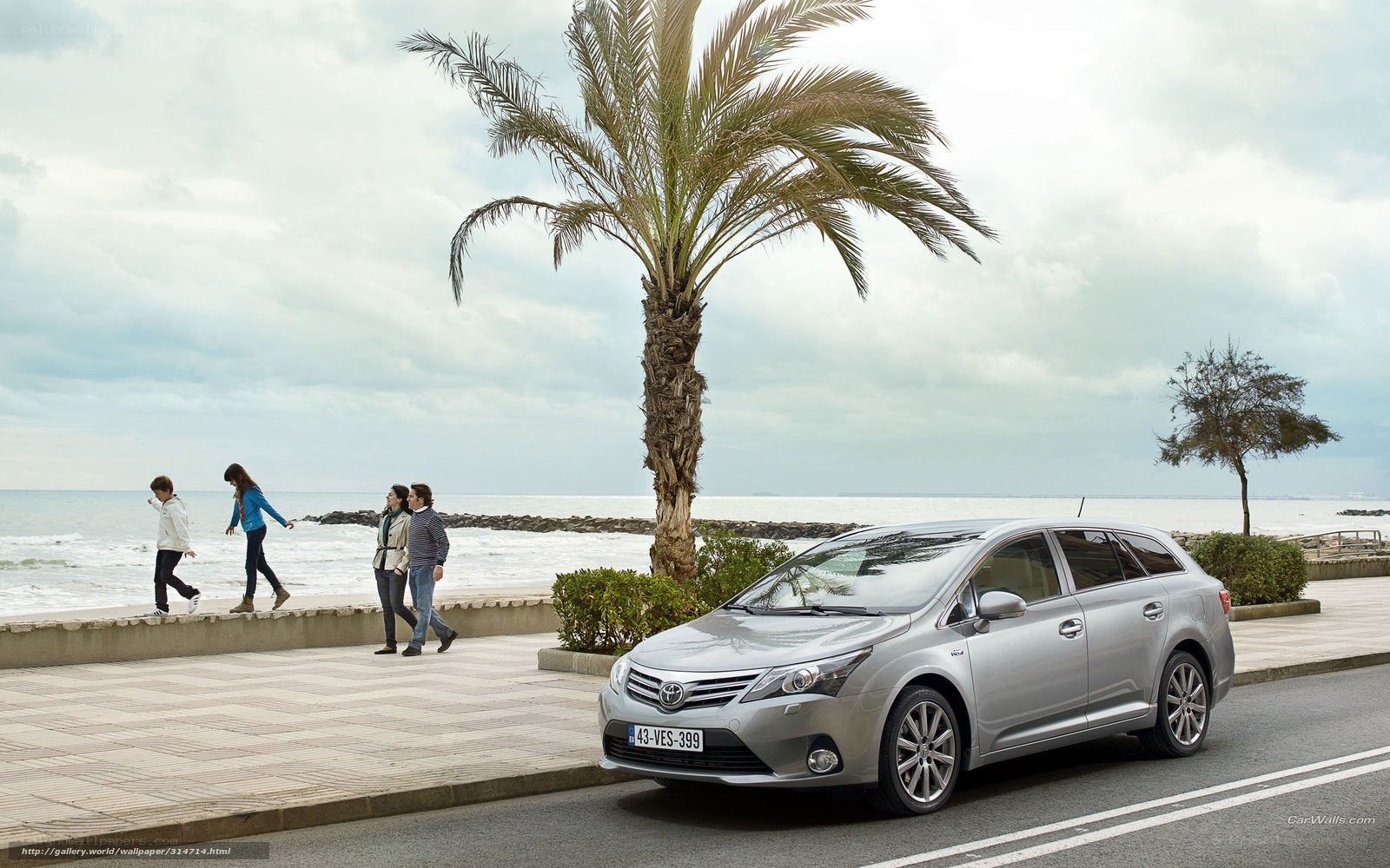Silver Toyota on a coastal road