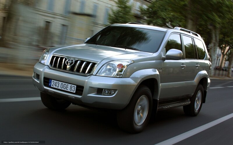 Silver Toyota Suv — Dynamic
