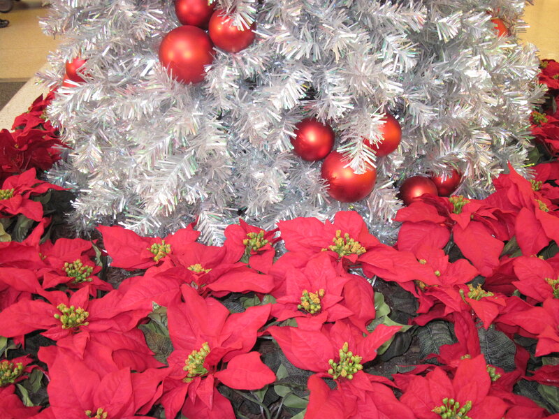 Silver Tree with Poinsettias