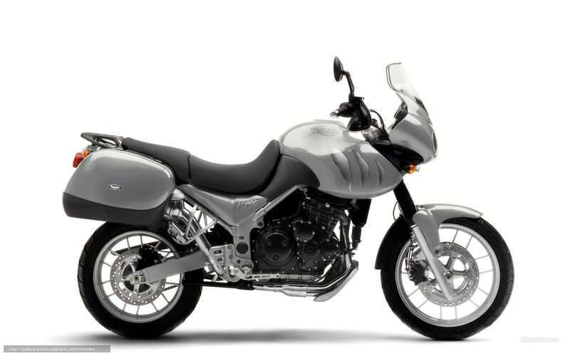 silver triumph tiger motorcycle
