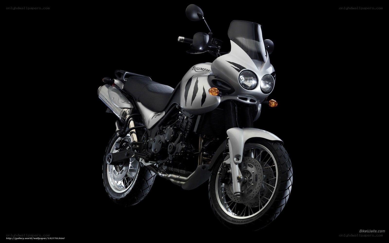 Silver Triumph Tiger motorcycle
