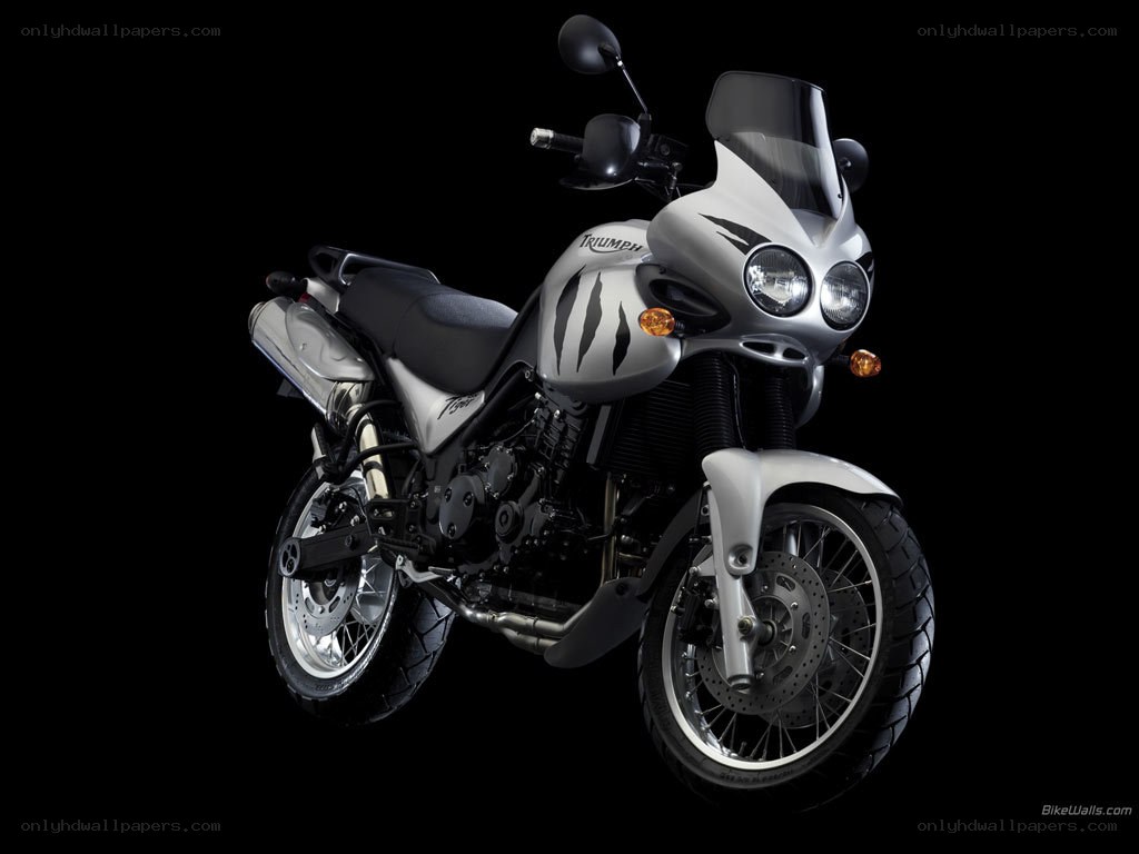 silver triumph tiger motorcycle