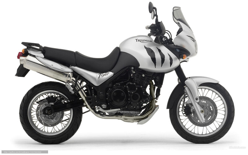 Silver Triumph Tiger Motorcycle — Neutral