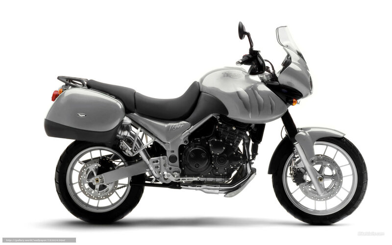 silver triumph tiger motorcycle