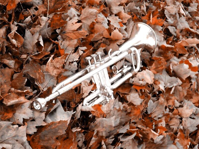 Silver Trumpet in Leaves