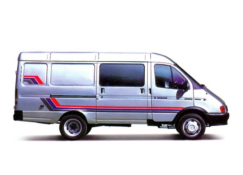 silver van with stripes