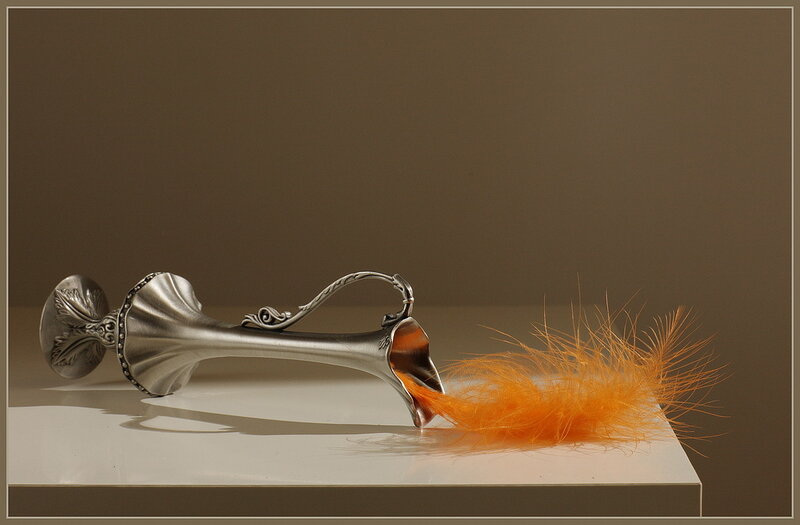 Silver Vase with Feather