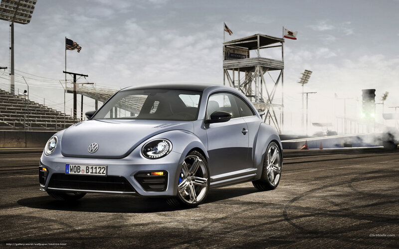Silver Volkswagen Beetle on racetrack