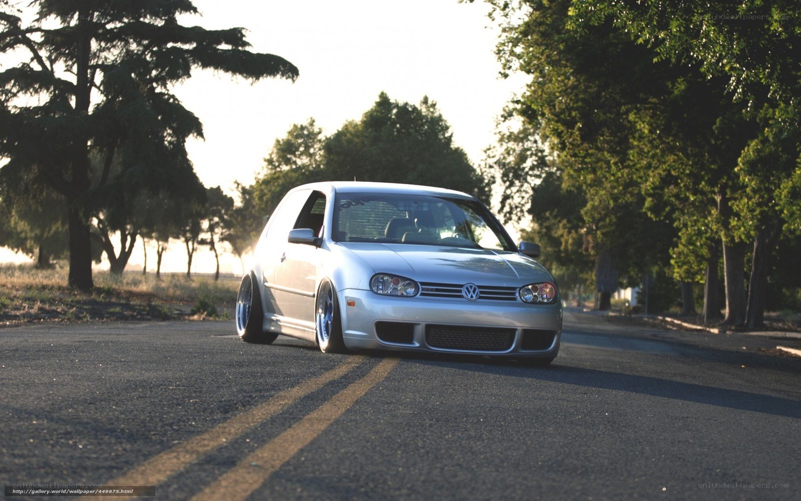 silver volkswagen golf on a tree-lined road