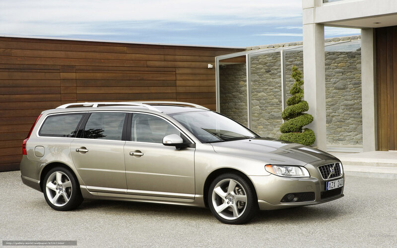 Silver Volvo Station Wagon — Serene, Afternoon