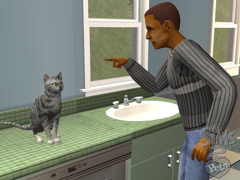 sim character scolding cat