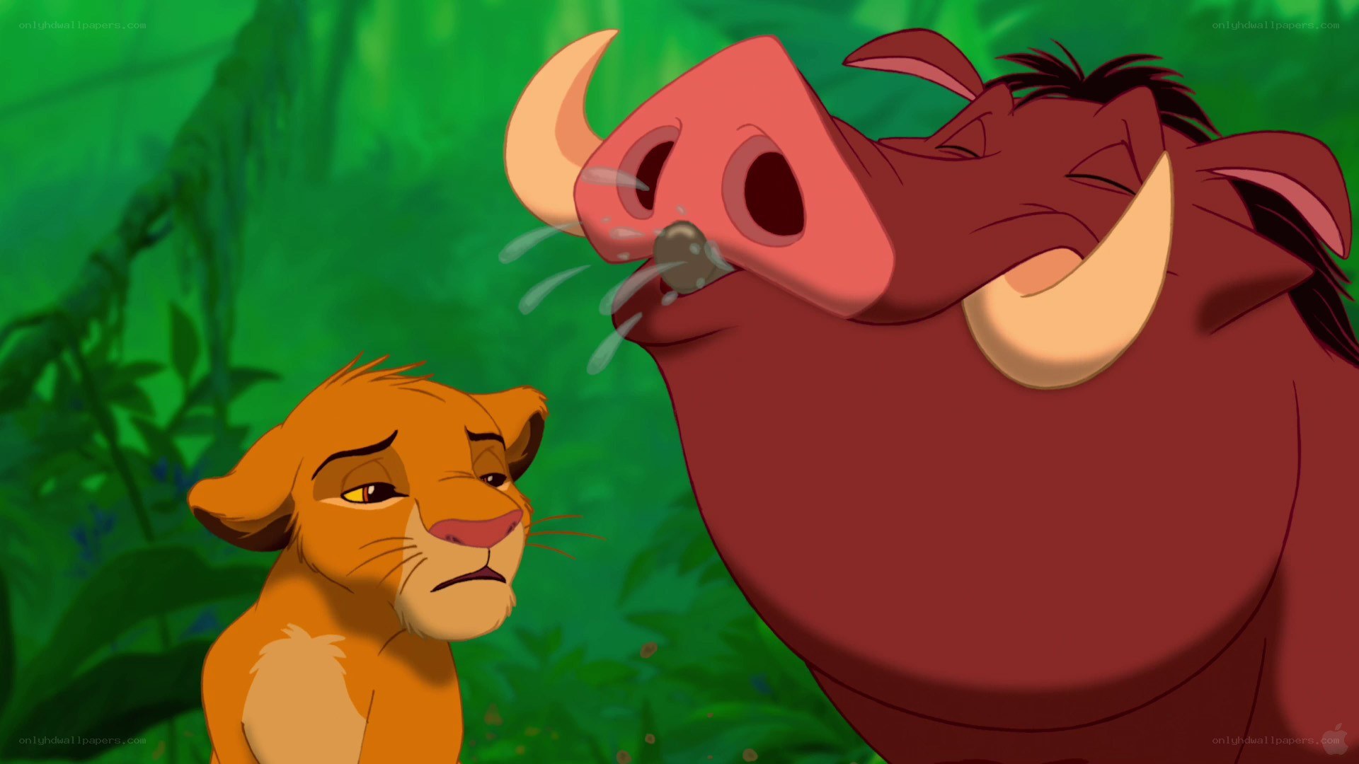 Simba and Pumbaa in jungle