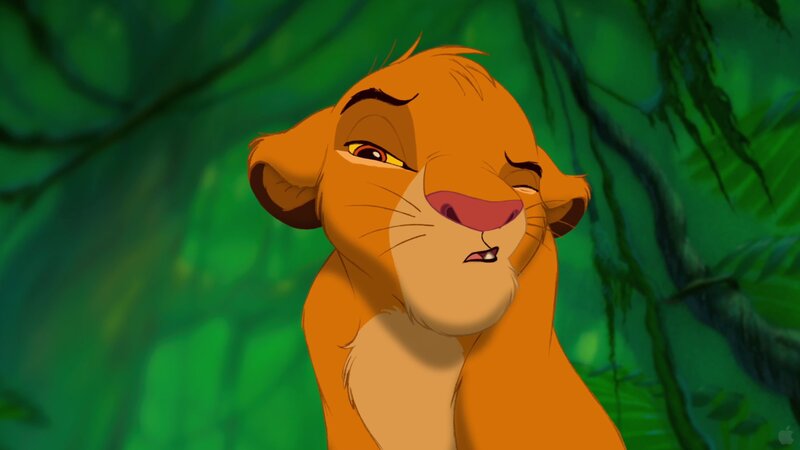 Simba in the jungle