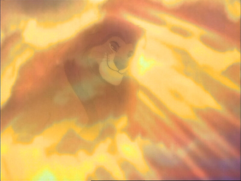Simba in the light