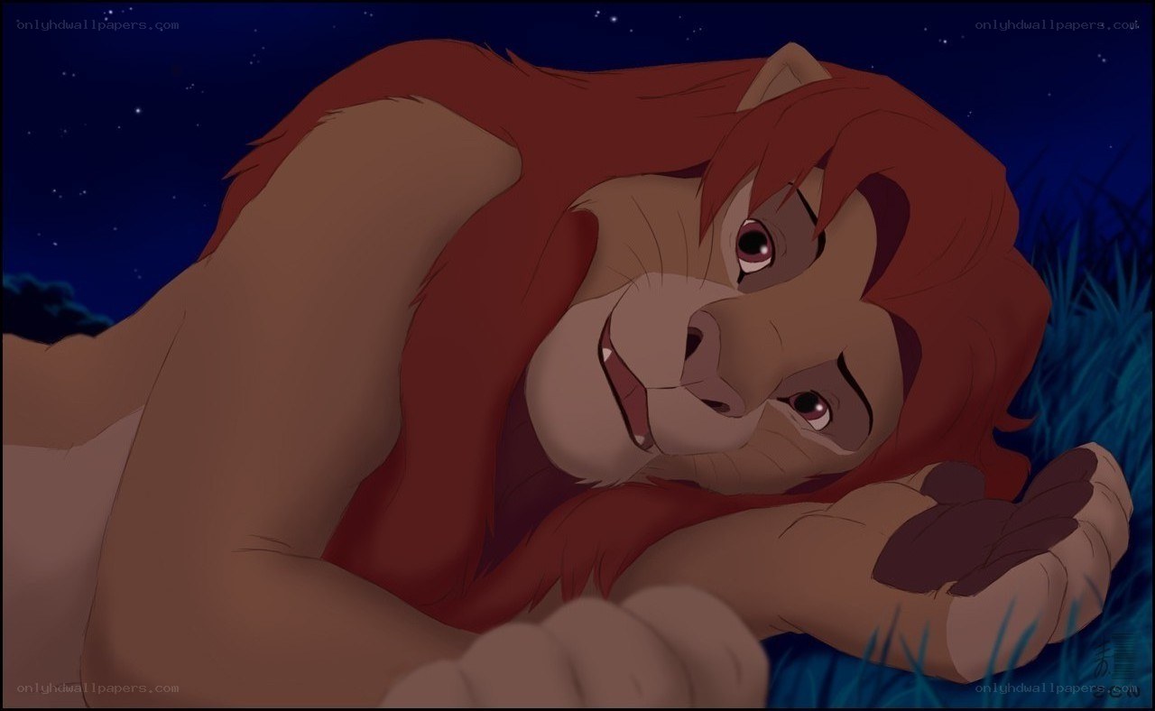 Simba lying in grass at night
