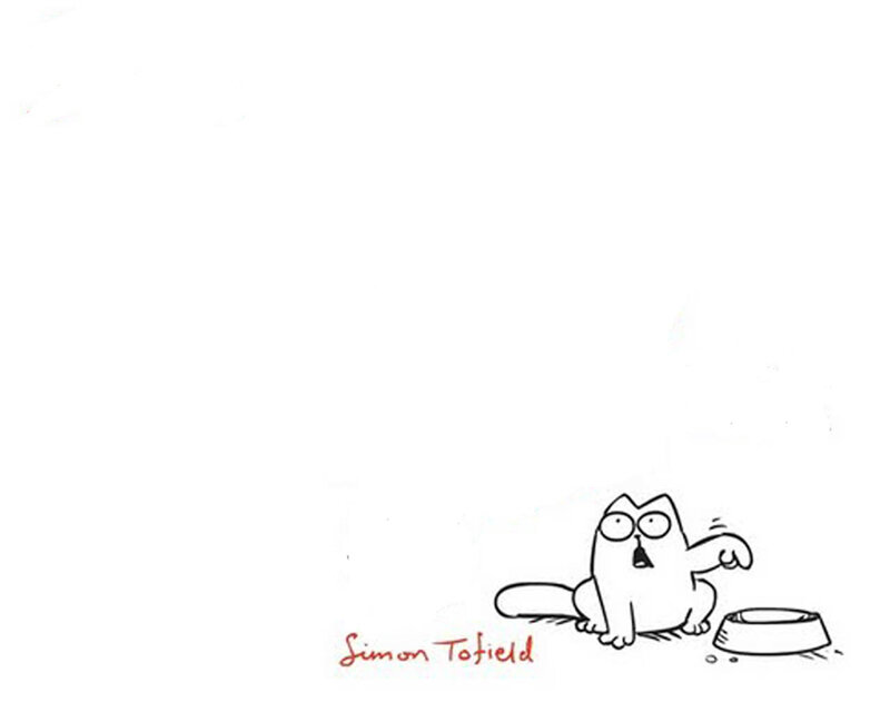 Simon Tofield's cat drawing