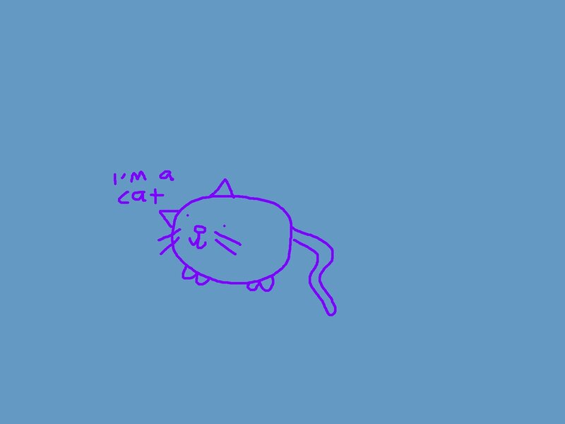 simple cat drawing