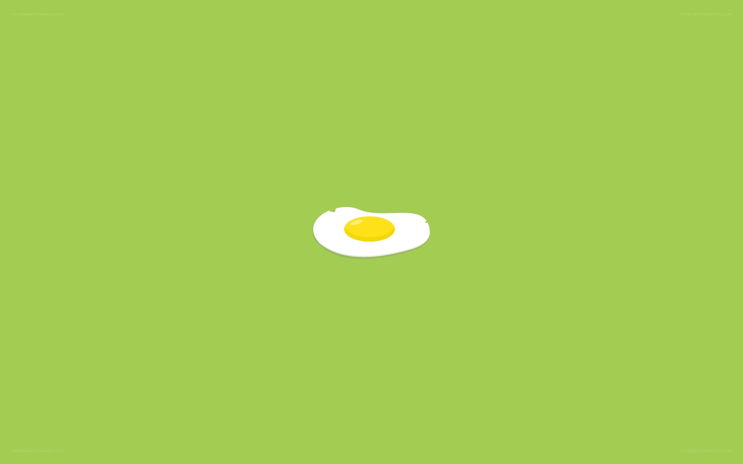 simple fried egg illustration