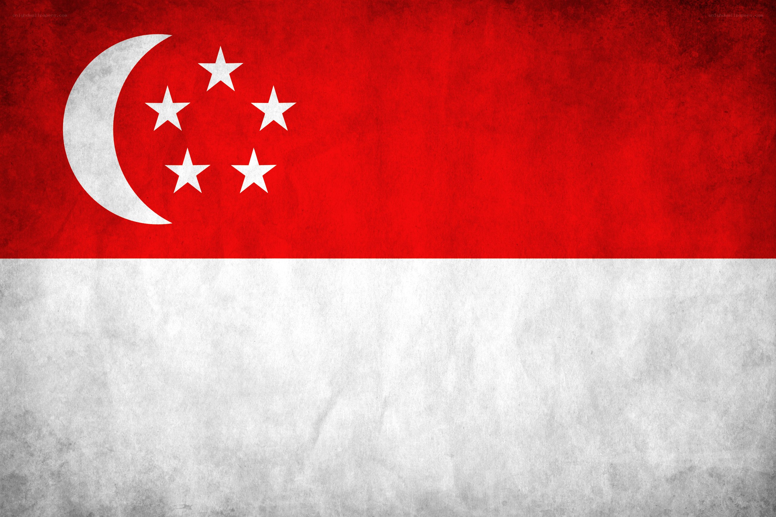 Singapore flag with grunge texture