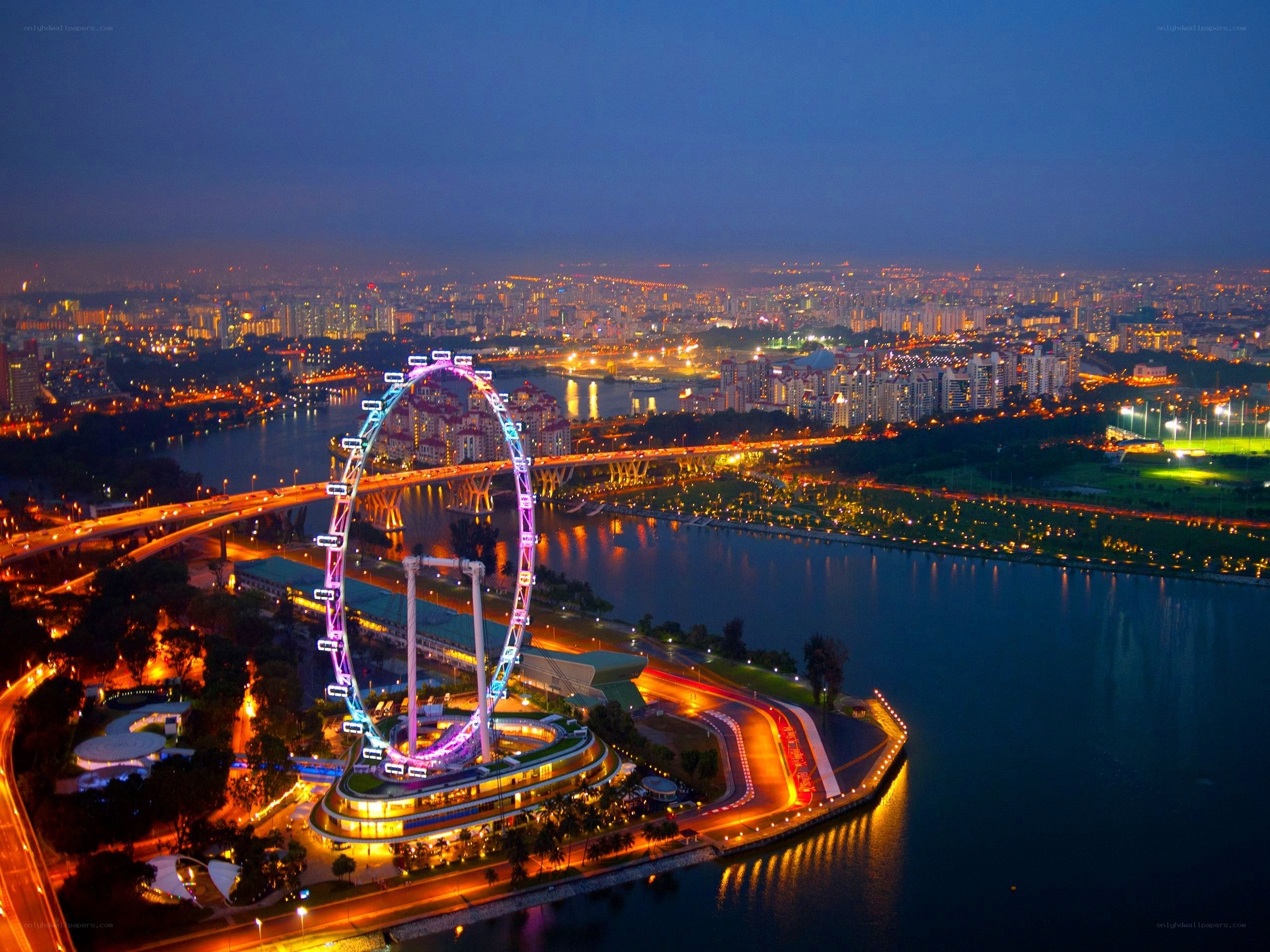 Singapore Flyer at night