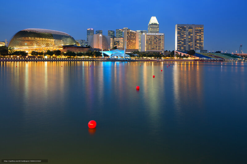 Singapore Skyline at Night — Blue, Serene, Photograph, Buildings