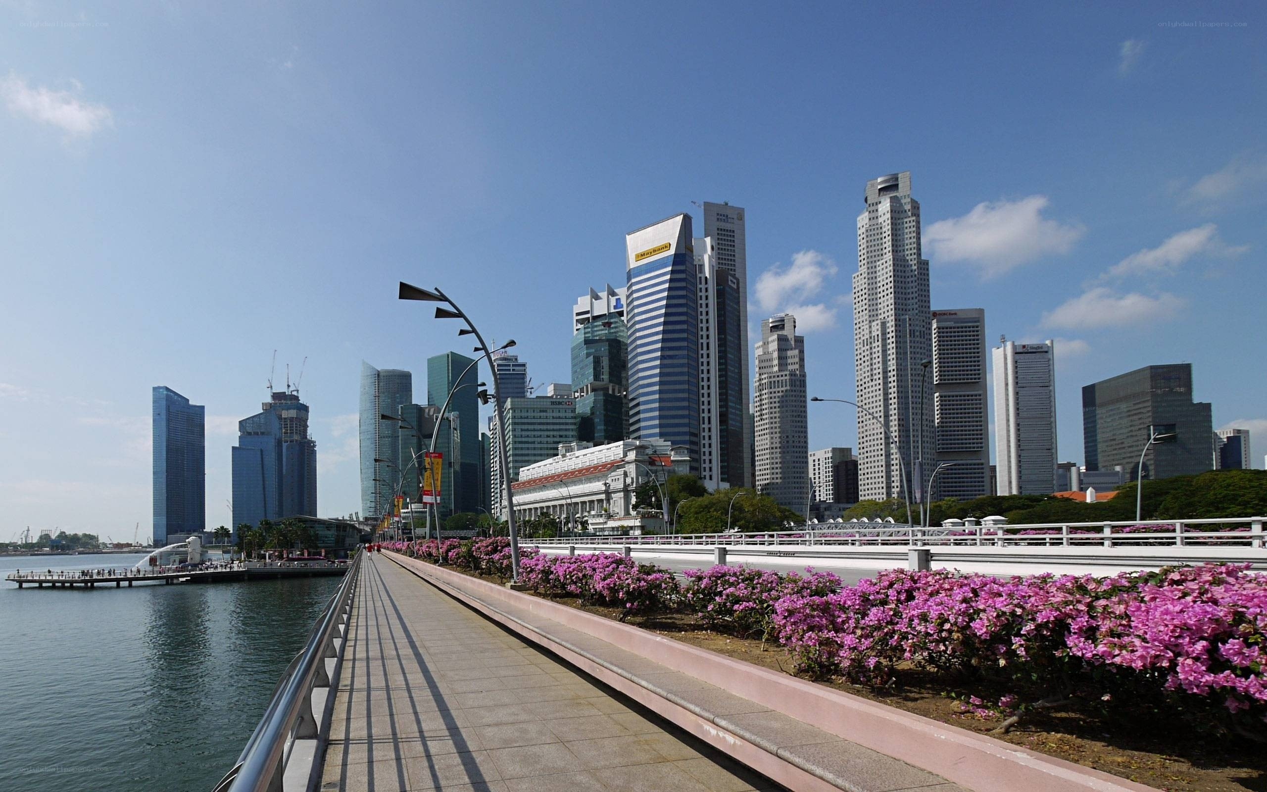 Singapore skyline from promenade