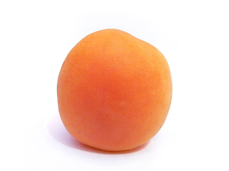 single apricot on white