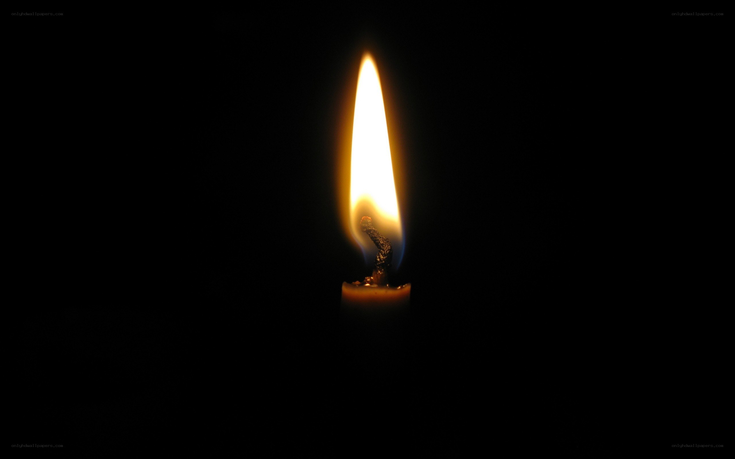 single candle flame in darkness