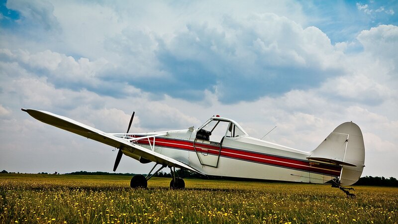 Single-engine plane in a field