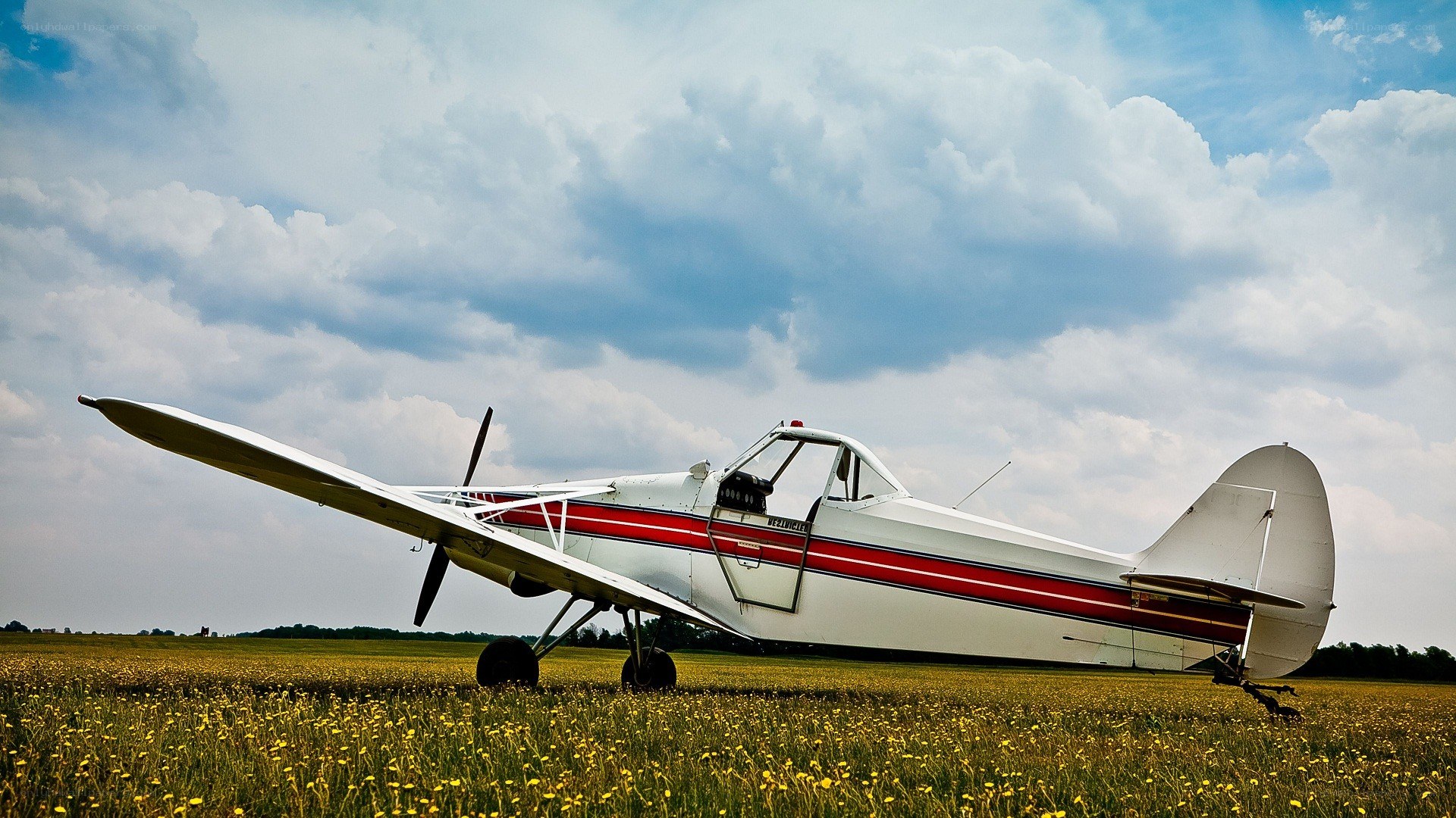 Single-engine plane in a field