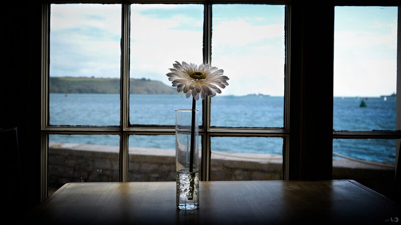 Single flower by the window