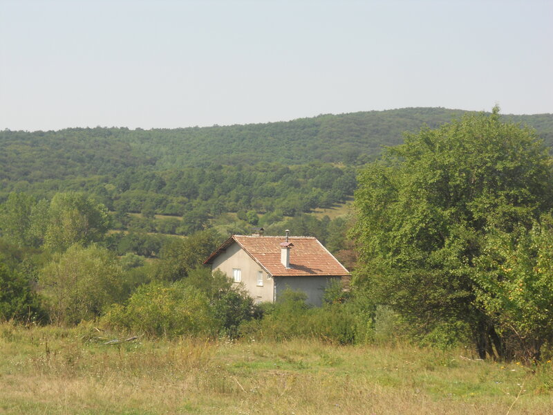 Single House in Valley