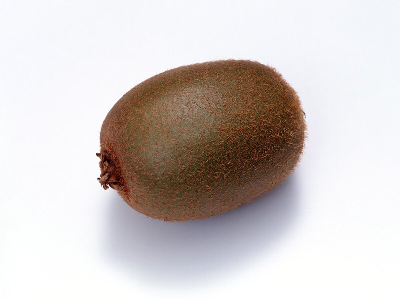 single kiwi fruit on white