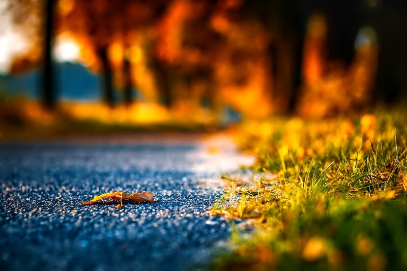 Single Leaf on Pavement — Blue