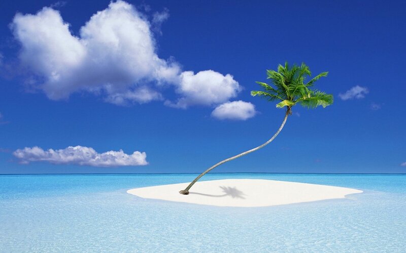 Single Palm Tree on Sandbar — Blue, Serene