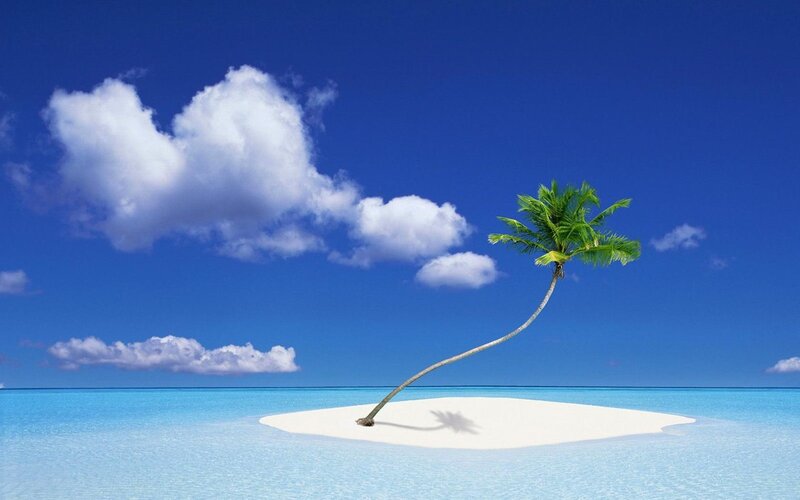 Single Palm Tree on Sandbar — Photograph
