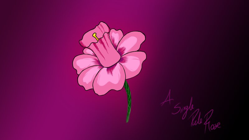 Single Pink Flower — Calm