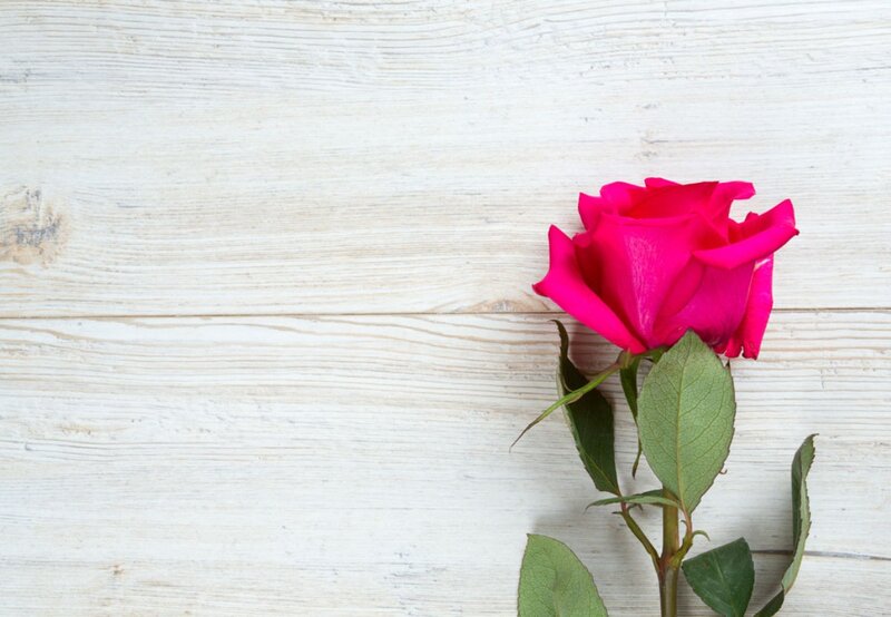 Single Pink Rose — Calm, Photograph, Wooden Surface