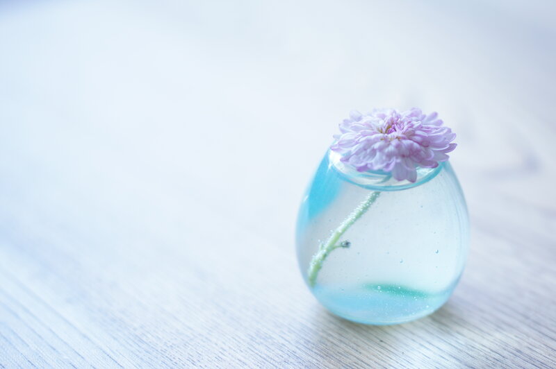 Single Purple Flower in Vase